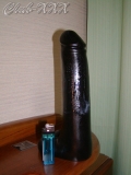 妻　帰宅　⑥　　　　　(･･)　　