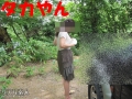 多忙で・・・・