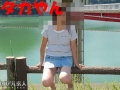 今月も・・・